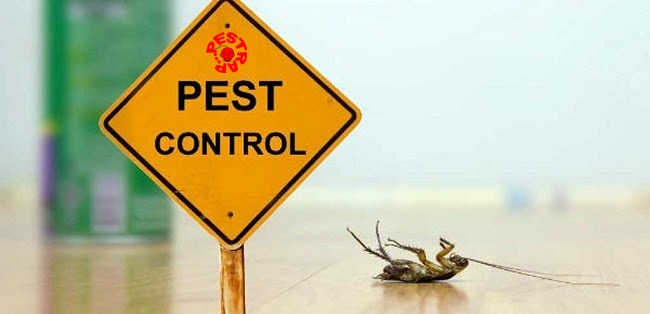 Professional-pest-control